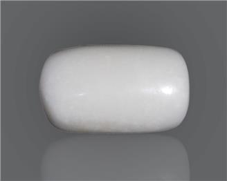 Natural White Coral  15.68 CTS (50418)